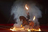 Royal Horse Gala araber_rigoletto1031.jpg