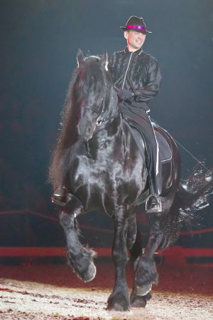 Royal Horse Gala friese.jpg